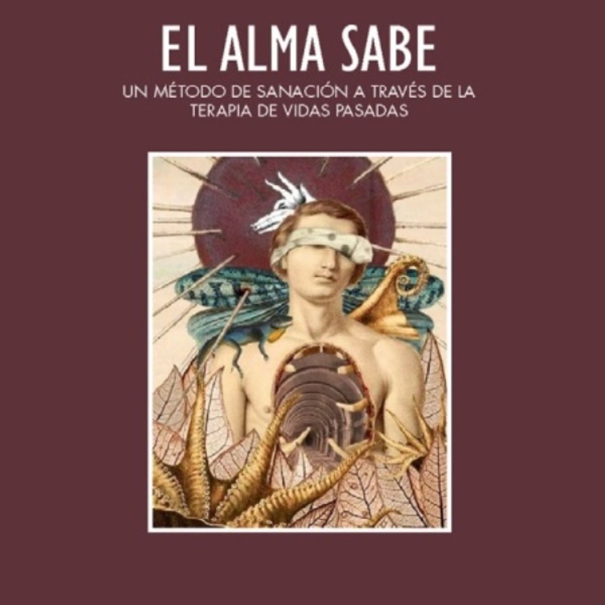 TOP10BOOKS - LIBRO El Alma Sabe - El Alma Sabe
