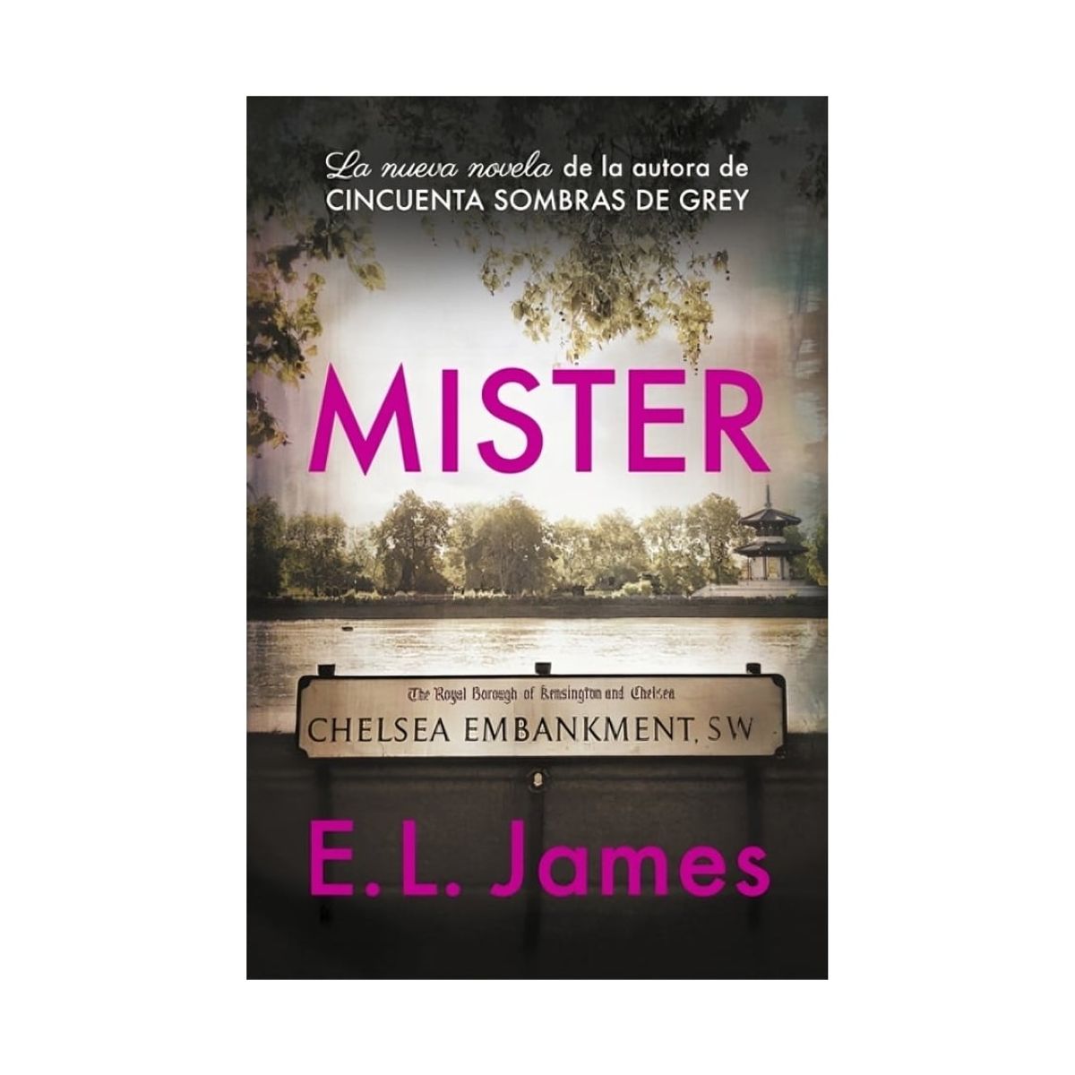 TOP10BOOKS - LIBRO Mister - Mister
