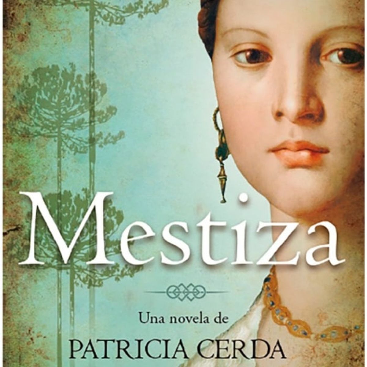 TOP10BOOKS - LIBRO Mestiza - Mestiza