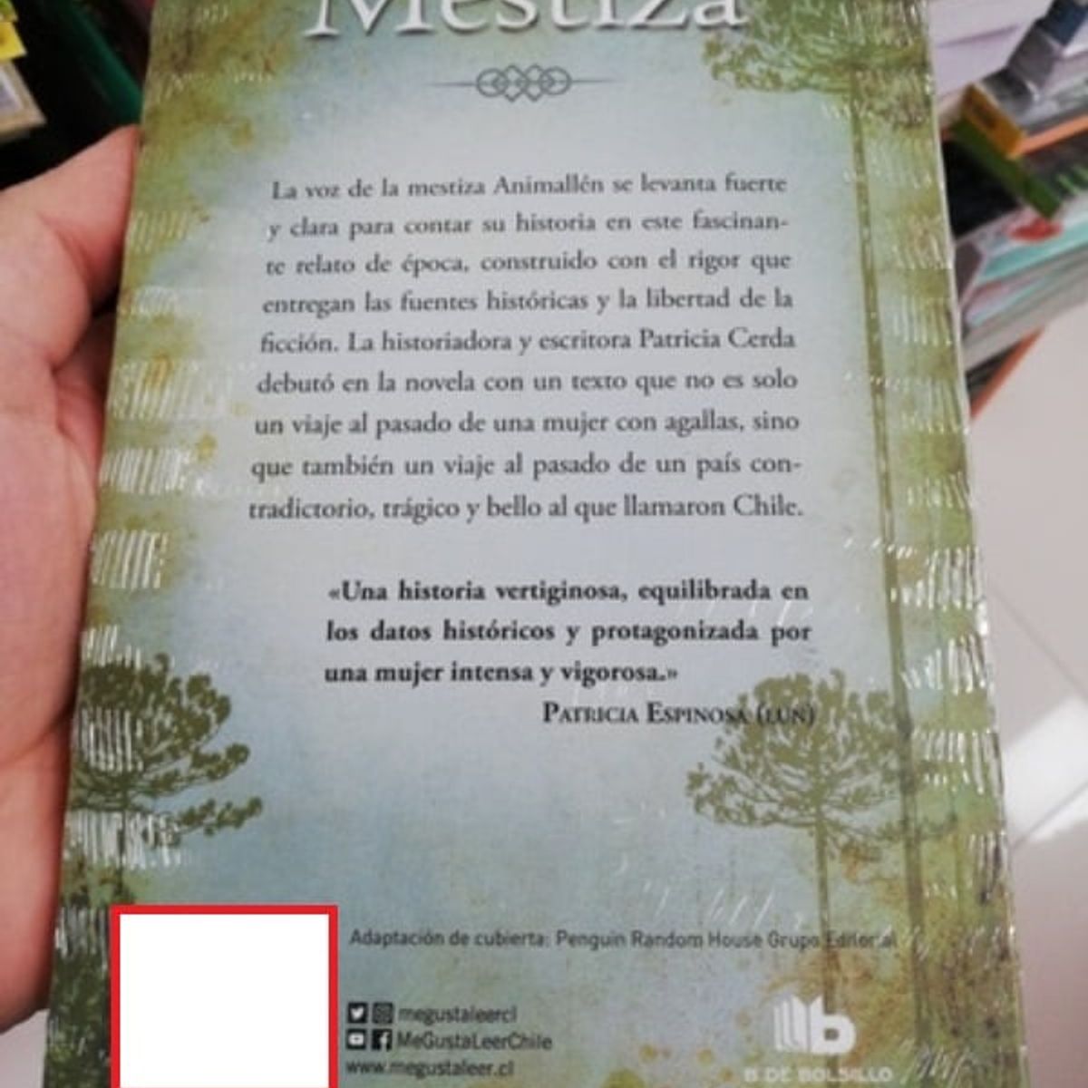 TOP10BOOKS - LIBRO Mestiza - Mestiza