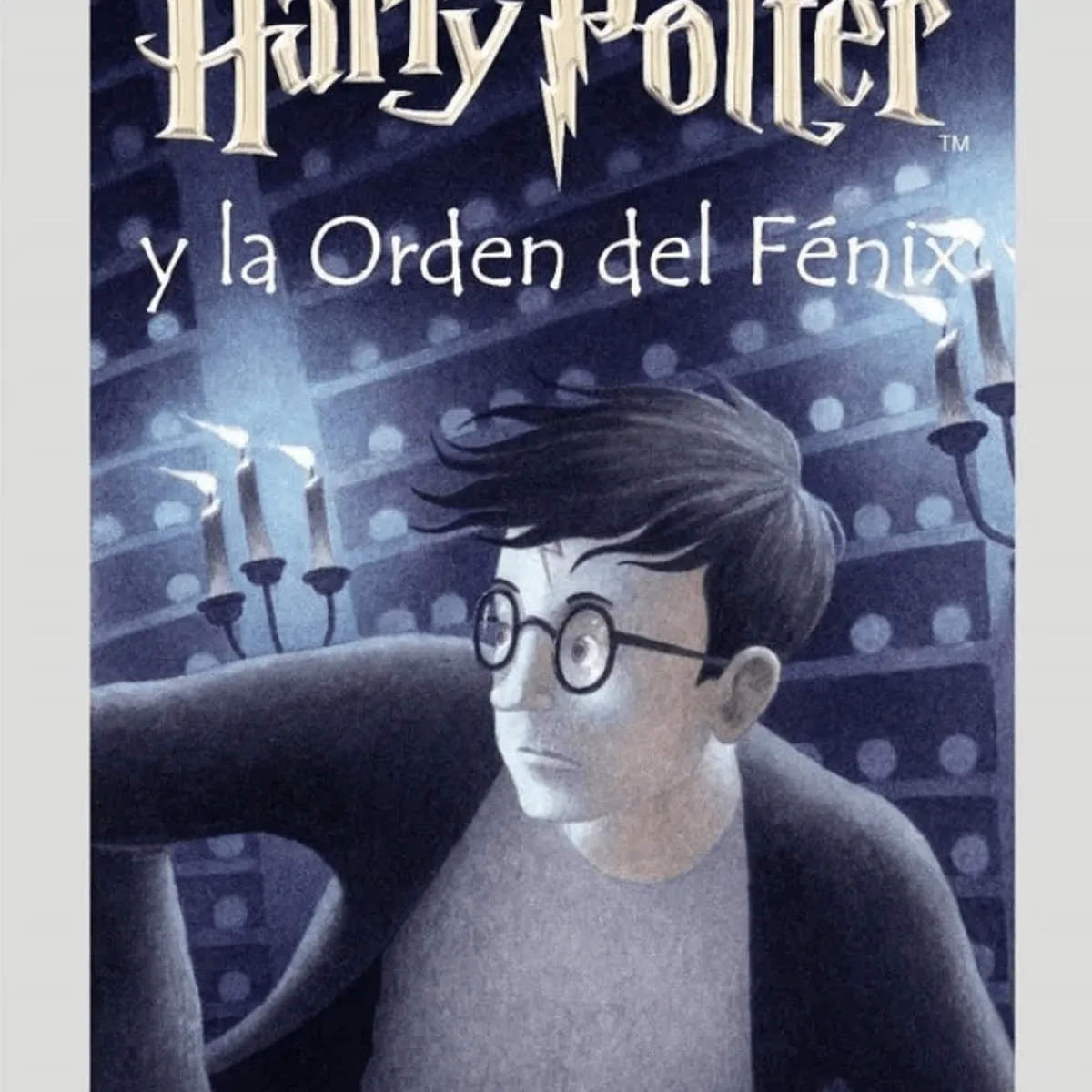 TOP10BOOKS - LIBRO Harry Potter Y La Orden Del Fénix - Harry Potter Y La Orden Del Fénix