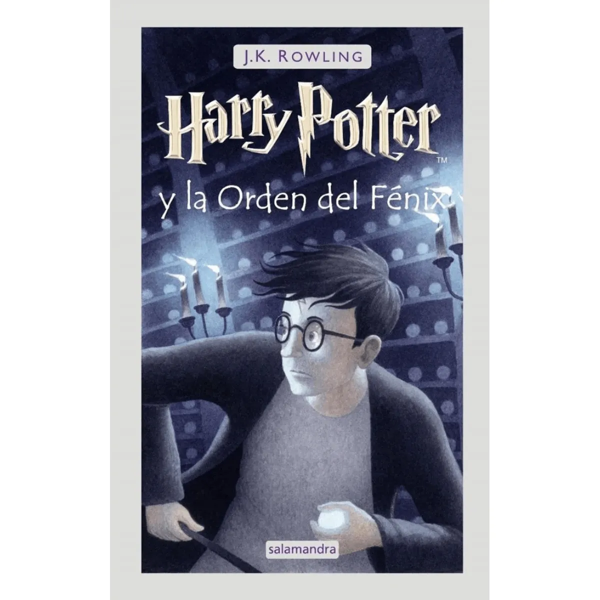 TOP10BOOKS - LIBRO Harry Potter Y La Orden Del Fénix - Harry Potter Y La Orden Del Fénix