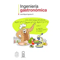 TOP10BOOKS - Libro INGENIERIA GASTRONOMICA