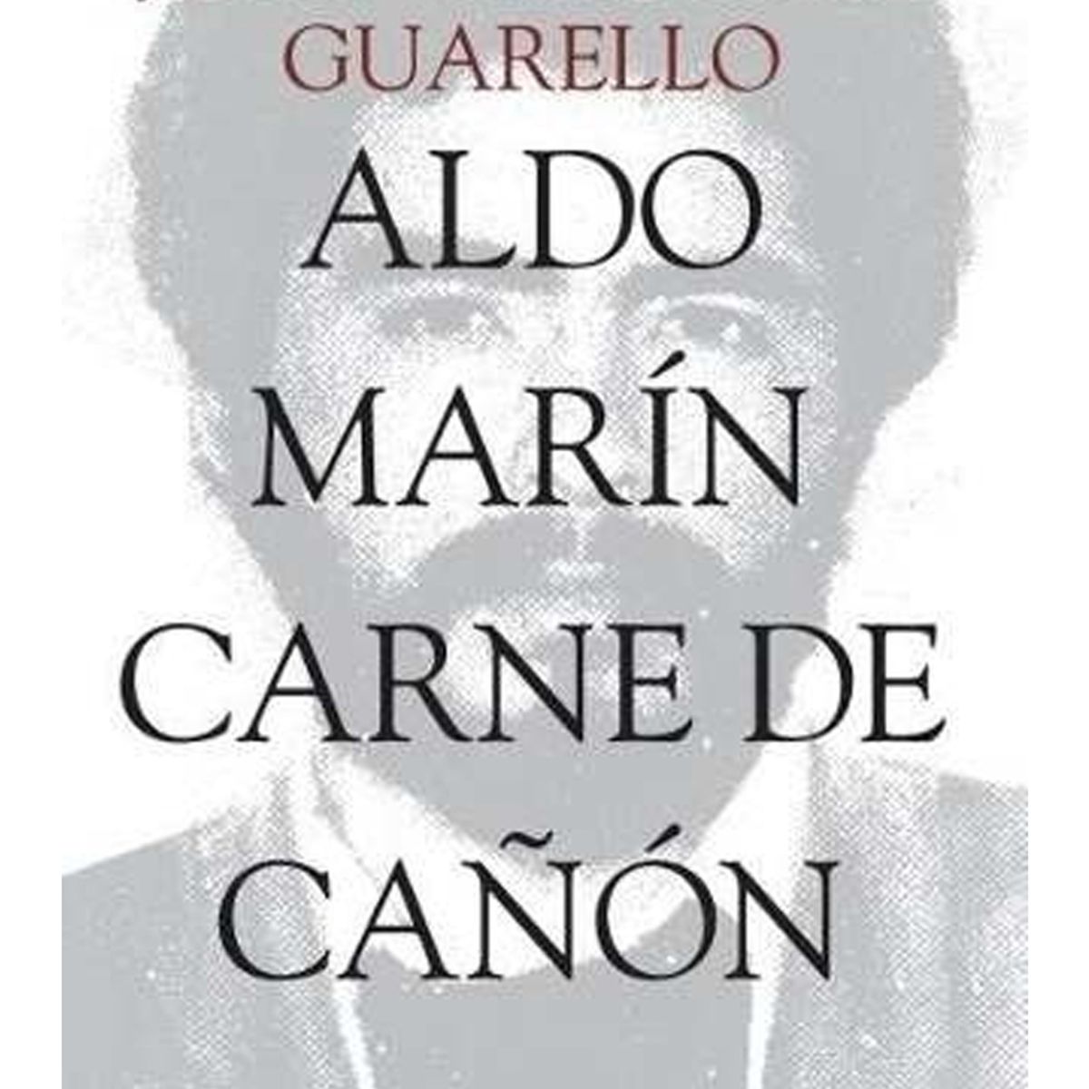 TOP10BOOKS - Libro ALDO MARIN. CARNE DE CANON