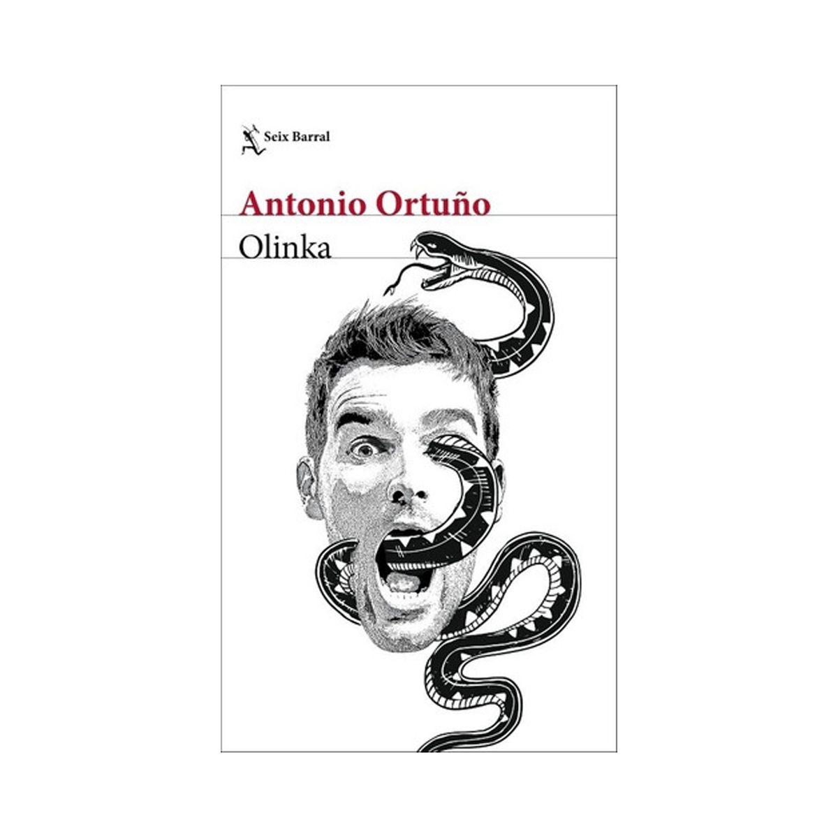 TOP10BOOKS - LIBRO Olinka - Olinka