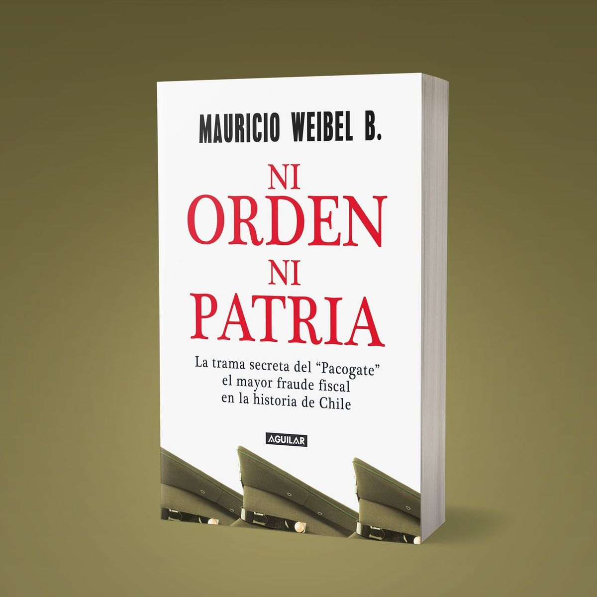 TOP10BOOKS - LIBRO Ni Orden Ni Patria - Ni Orden Ni Patria