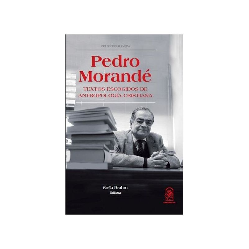 TOP10BOOKS - Libro Pedro Morandé /639