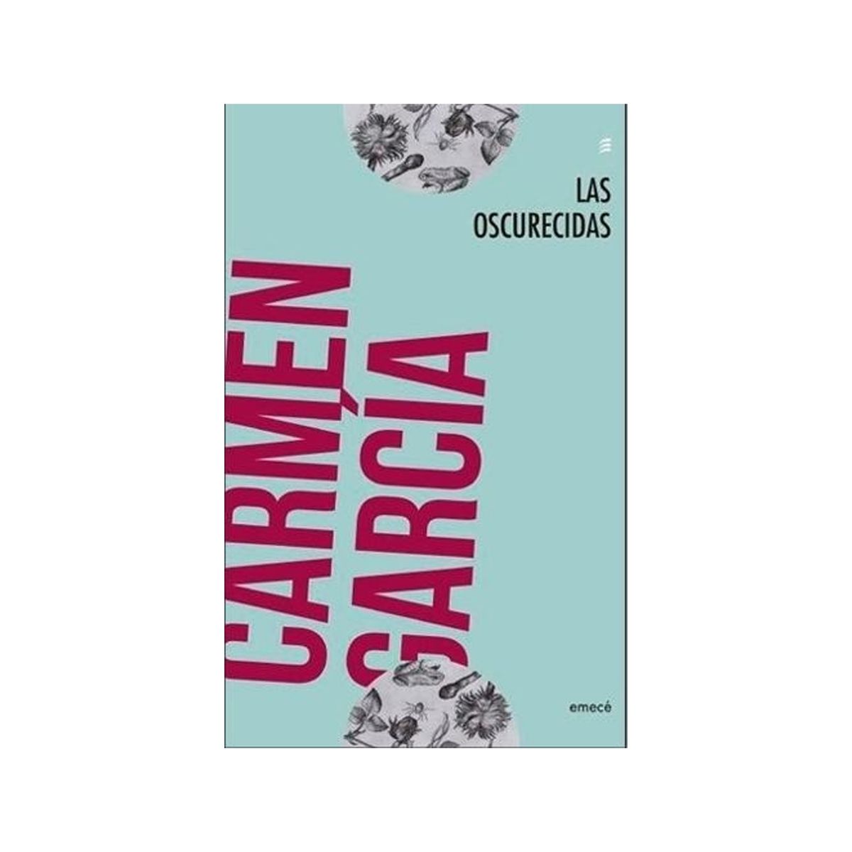 TOP10BOOKS - LIBRO Las Oscurecidas - Las Oscurecidas
