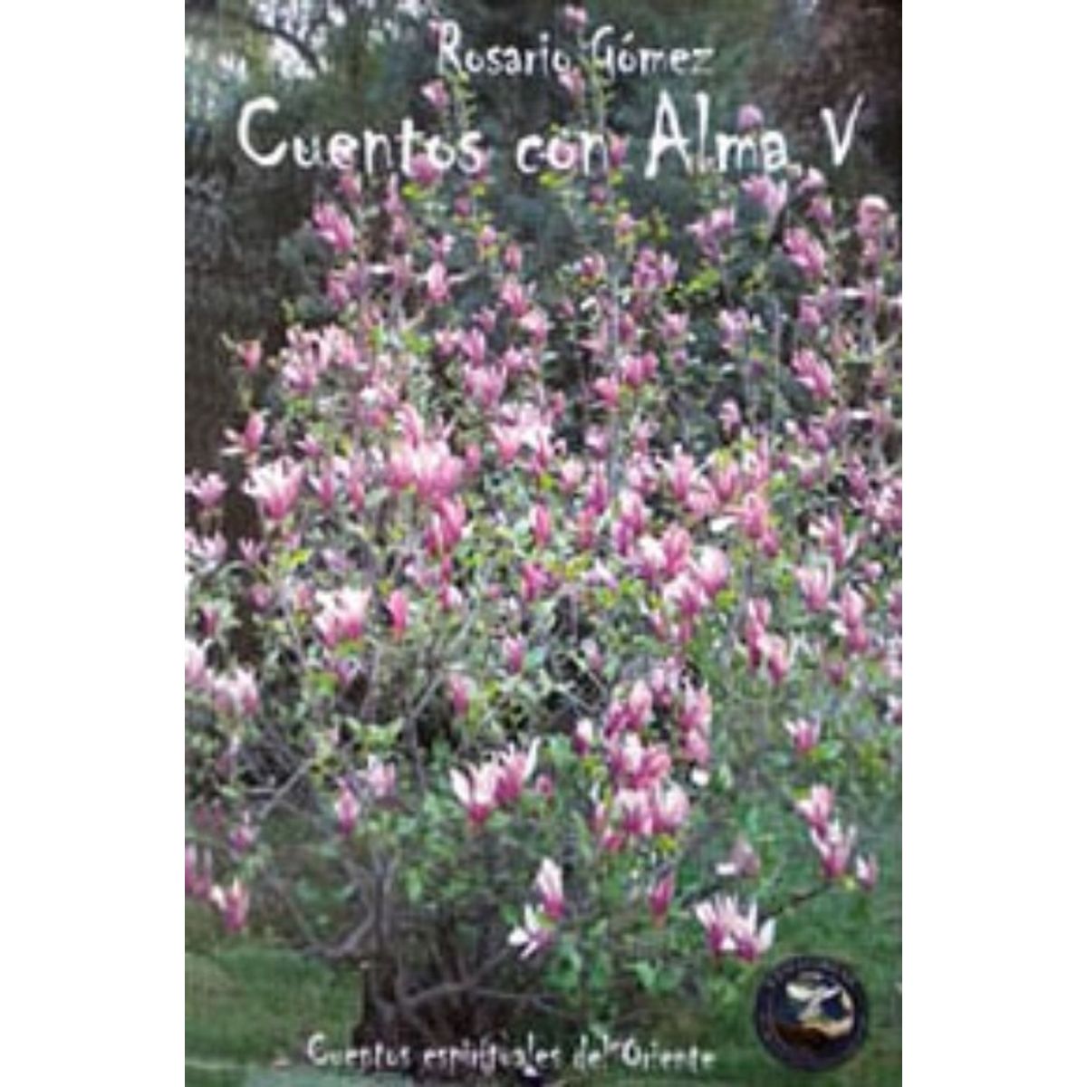 TOP10BOOKS - LIBRO Cuentos Con Alma V - R. Gomez