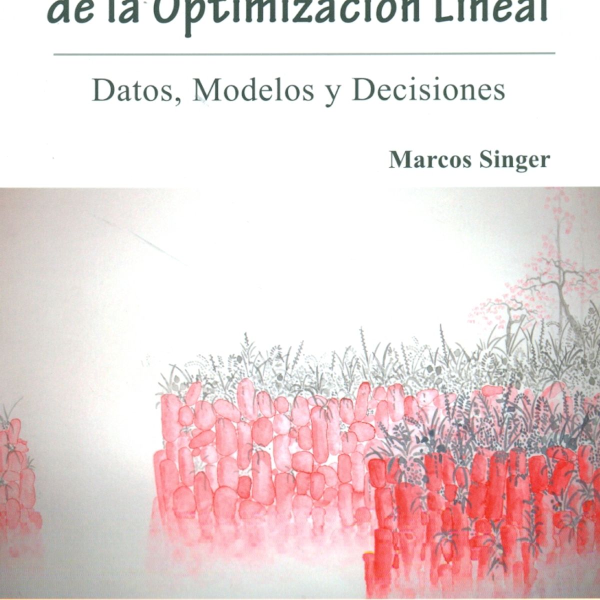 TOP10BOOKS - LIBRO Una Práctica Teoría De La Optimización Lineal. Datos, Modelos Y Decisiones