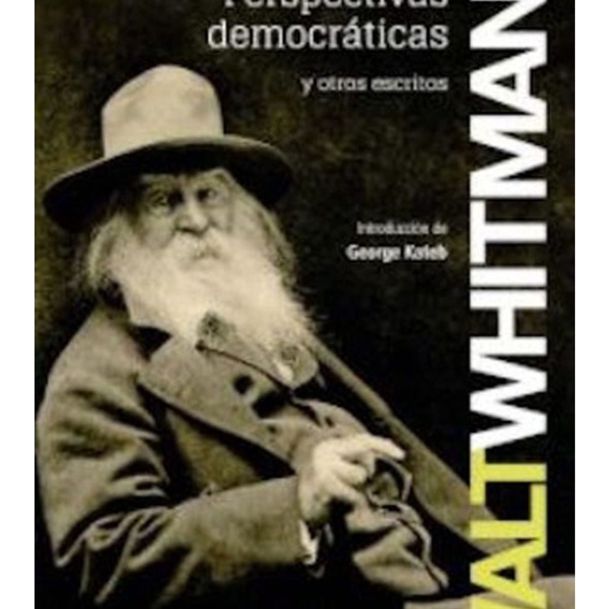 TOP10BOOKS - LIBRO Perspectivas Democráticas Y Otros Escritos