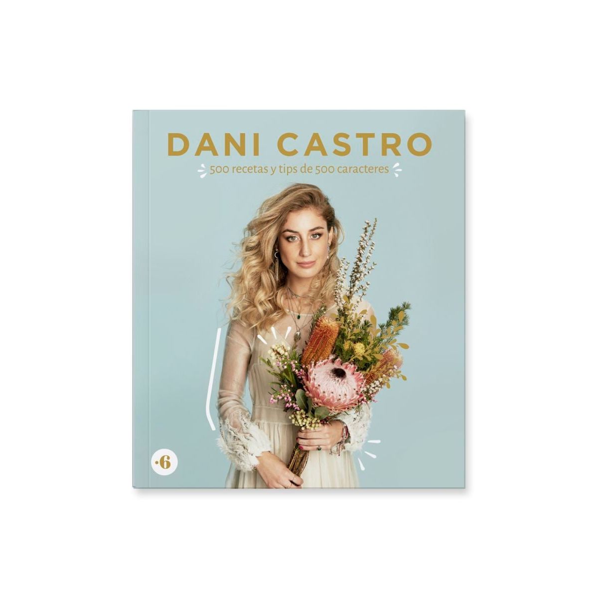 TOP10BOOKS - LIBRO 500 Recetas Y Tips De 500 Caracteres