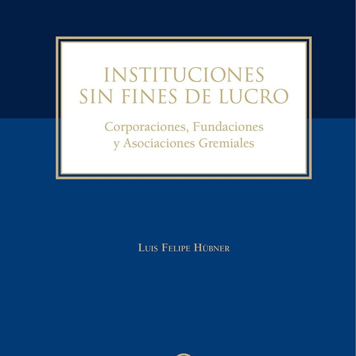 TOP10BOOKS - LIBRO Instituciones Sin Fines De Lucro - Luis Felipe Hubner