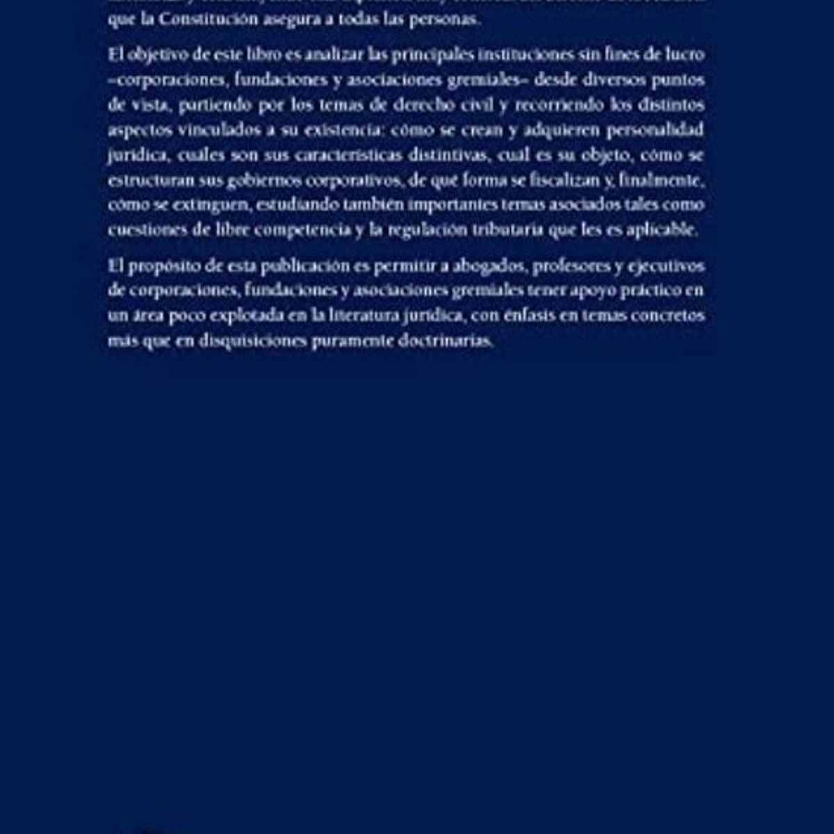 TOP10BOOKS - LIBRO Instituciones Sin Fines De Lucro - Luis Felipe Hubner