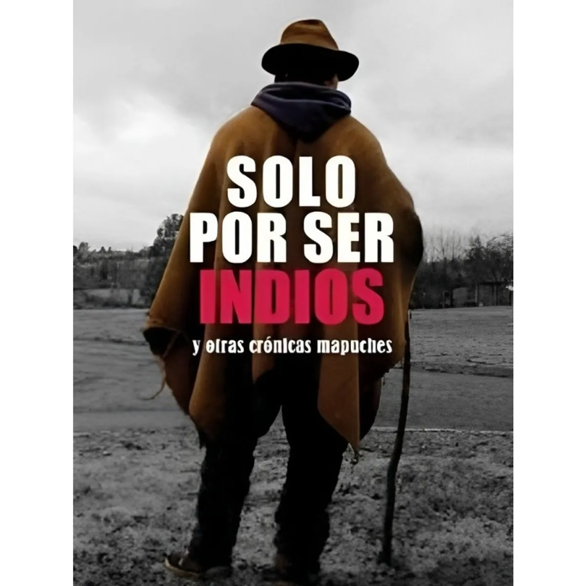 TOP10BOOKS - LIBRO Solo Por Ser Indios Y Otras Crónicas Mapuches