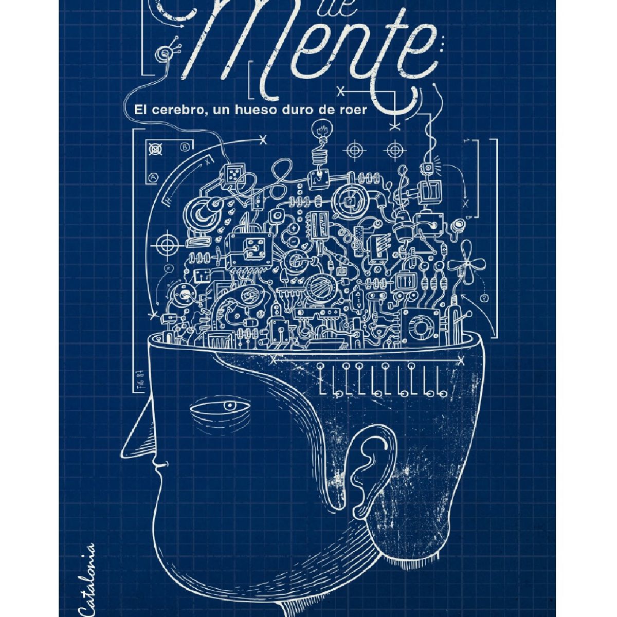 TOP10BOOKS - LIBRO Demente. El Cerebro, Un Hueso Duro De Roer.