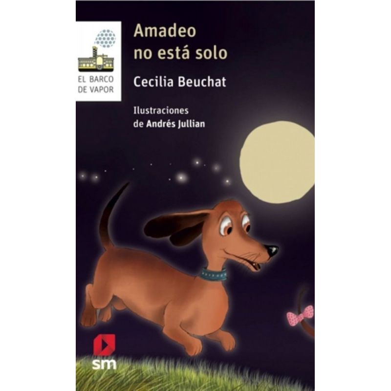 TOP10BOOKS - Libro Amadeo No Está Solo /922