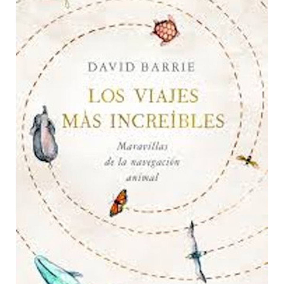 TOP10BOOKS - LIBRO Los Viajes Mas Increíbles - Los Viajes Mas Increíbles
