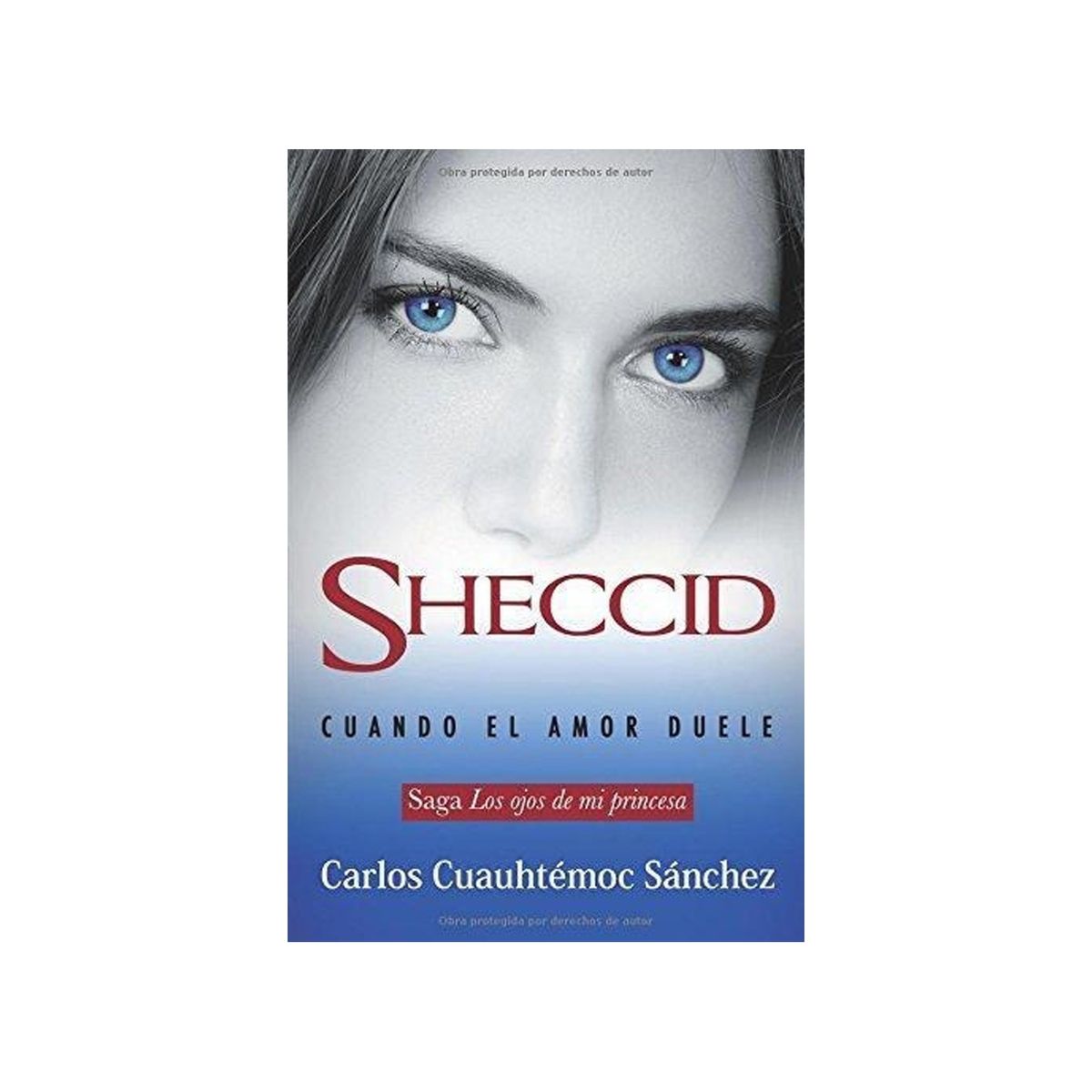 TOP10BOOKS - LIBRO Sheccid - Cuando El Amor Duele