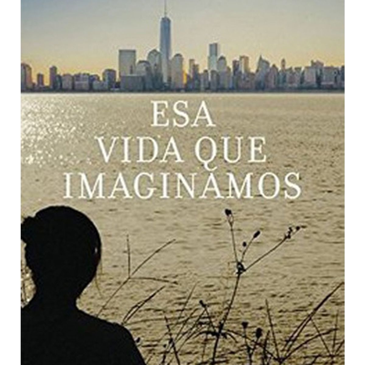 TOP10BOOKS - LIBRO Esa Vida Que Imaginamos - Esa Vida Que Imaginamos