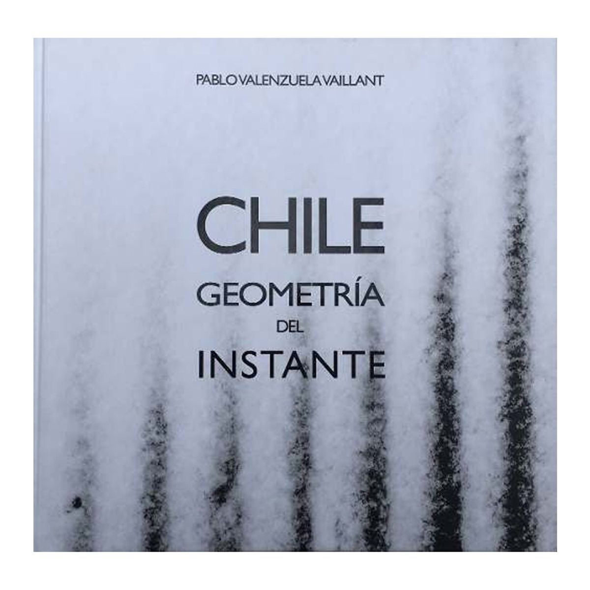 TOP10BOOKS - LIBRO Chile, Geometría Del Instante - Chile, Geometría Del Instante