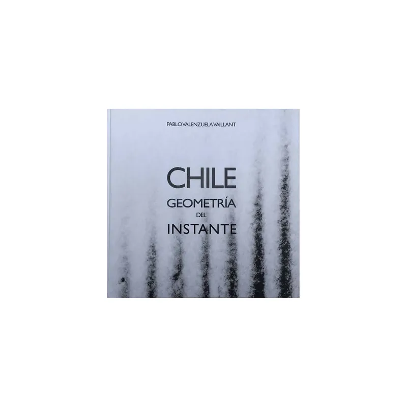 TOP10BOOKS - Libro Chile, Geometría Del Instante -445-