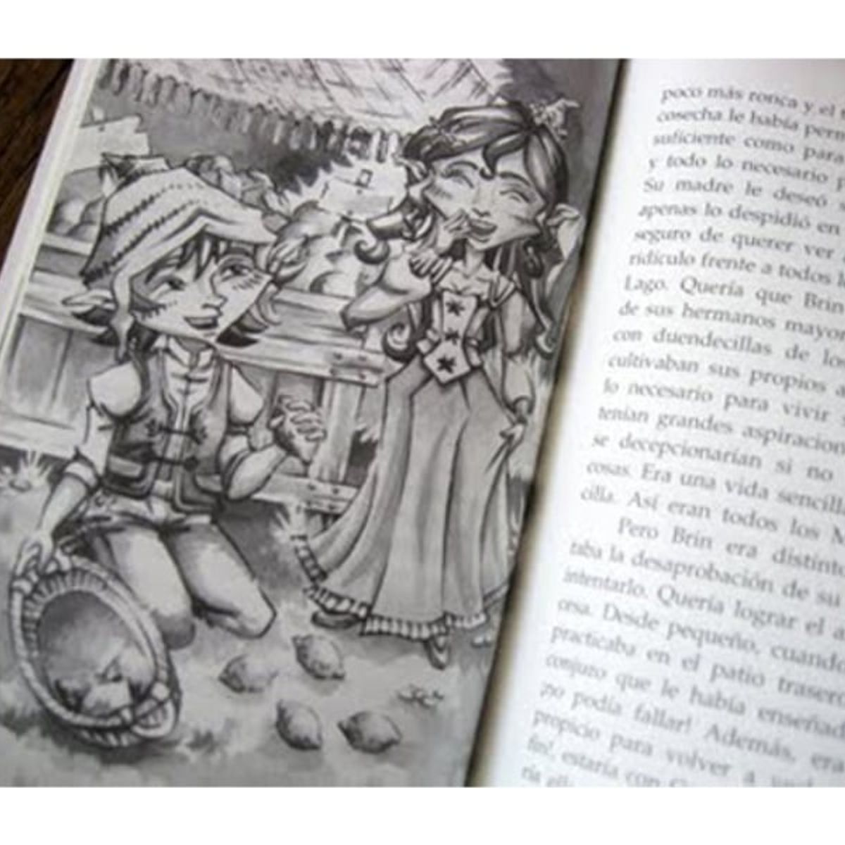 TOP10BOOKS - LIBRO La Asombrosa Historia Del Espejo Roto