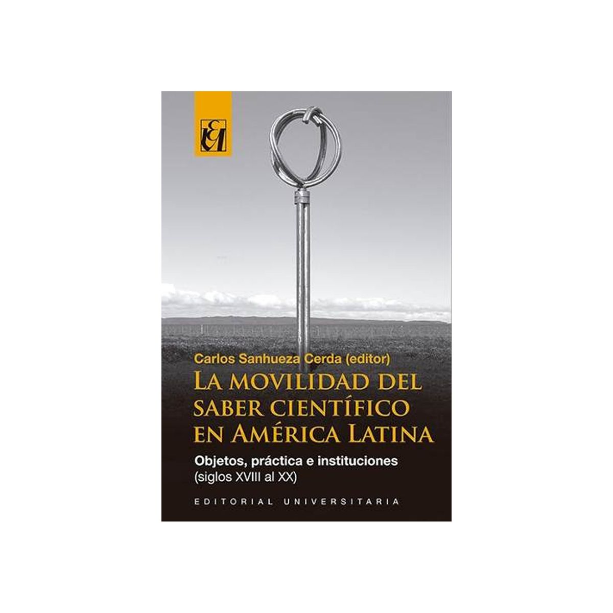 TOP10BOOKS - LIBRO La Movilidad Del Saber Científico En América Latina