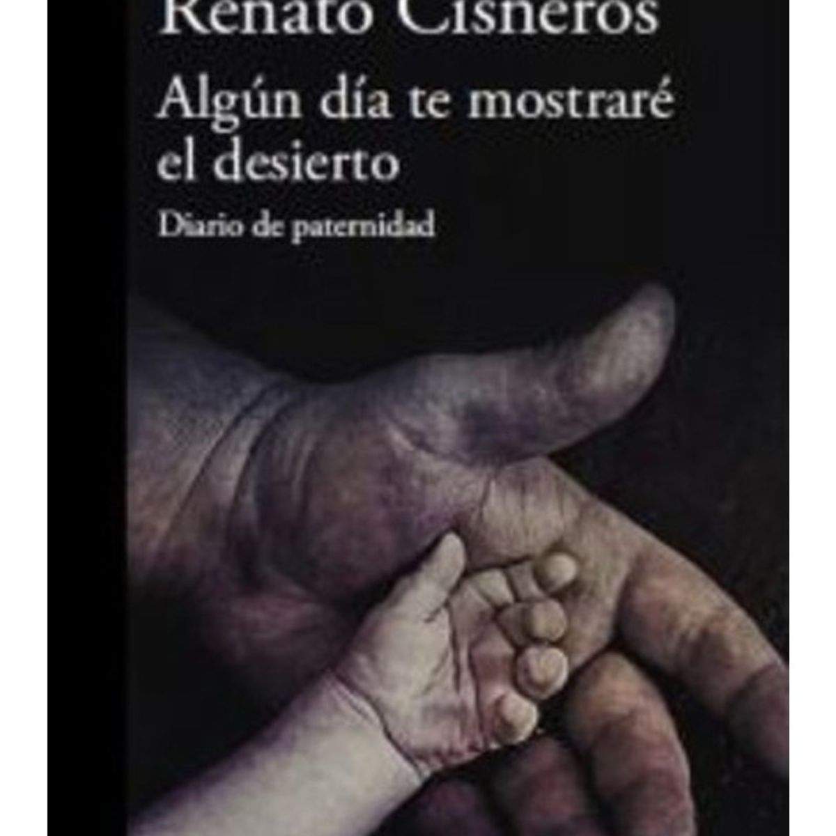 TOP10BOOKS - LIBRO Algún Día Te Mostrare El Desierto - Algún Día Te Mostrare El Desierto