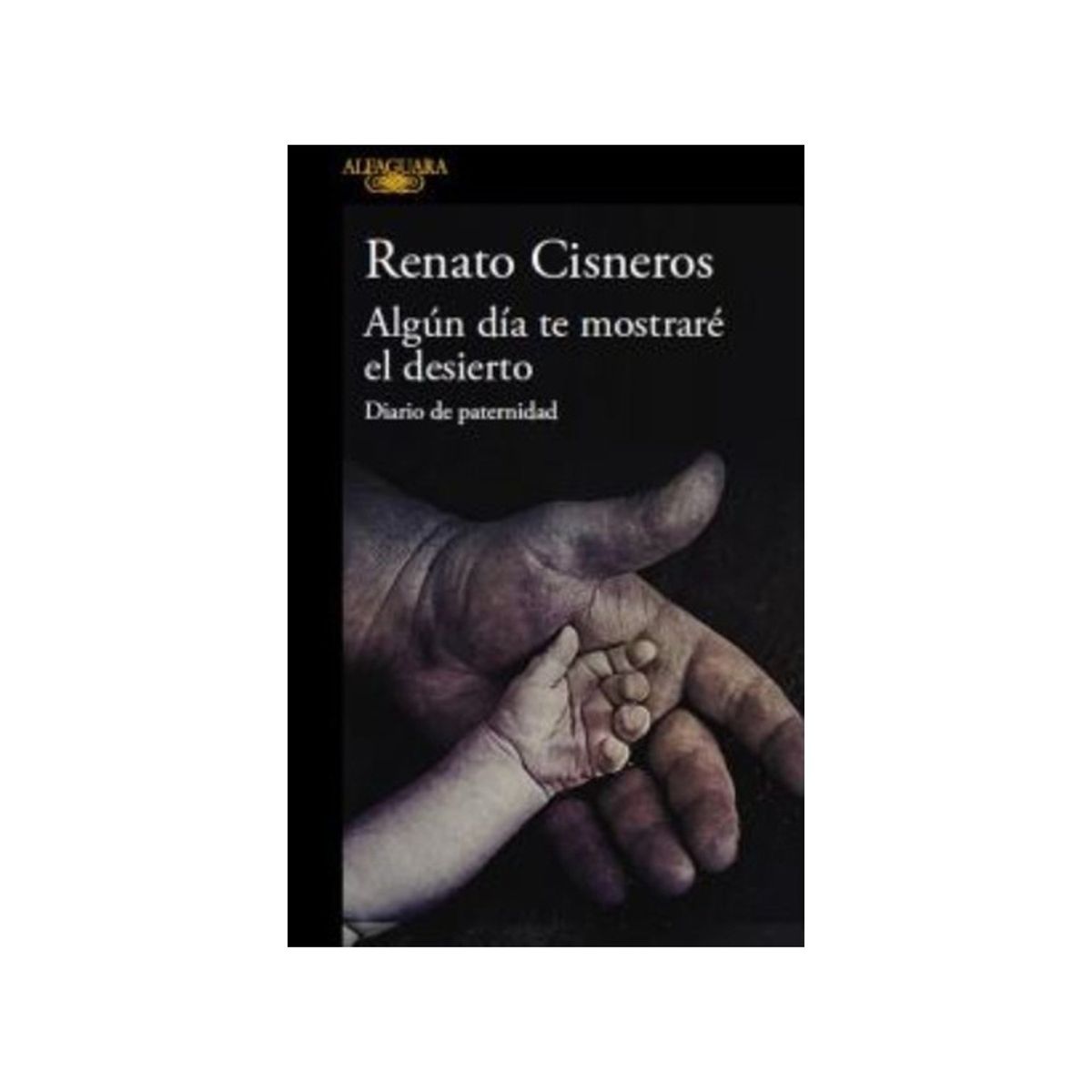 TOP10BOOKS - LIBRO Algún Día Te Mostrare El Desierto - Algún Día Te Mostrare El Desierto