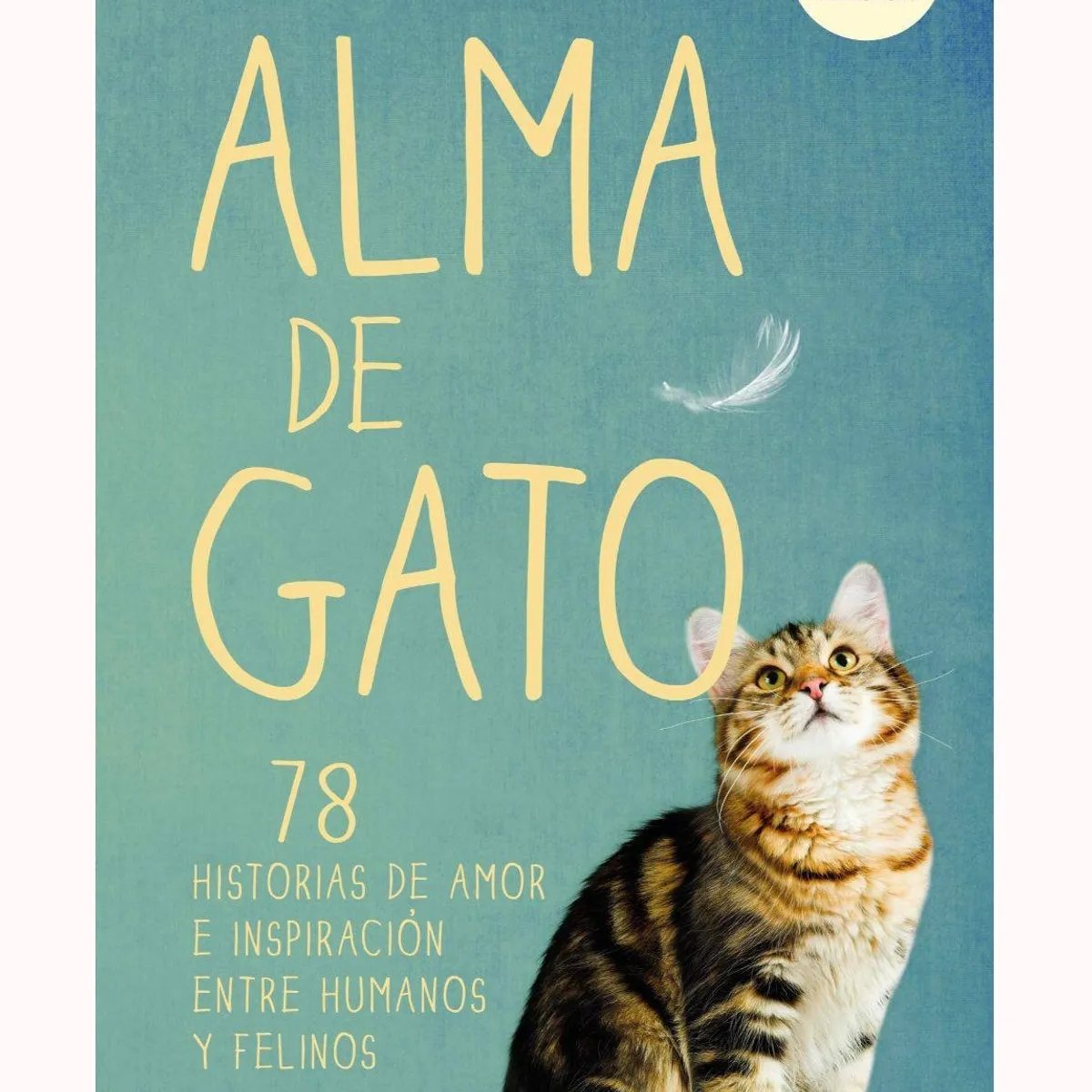 TOP10BOOKS - LIBRO Alma De Gato - Alma De Gato