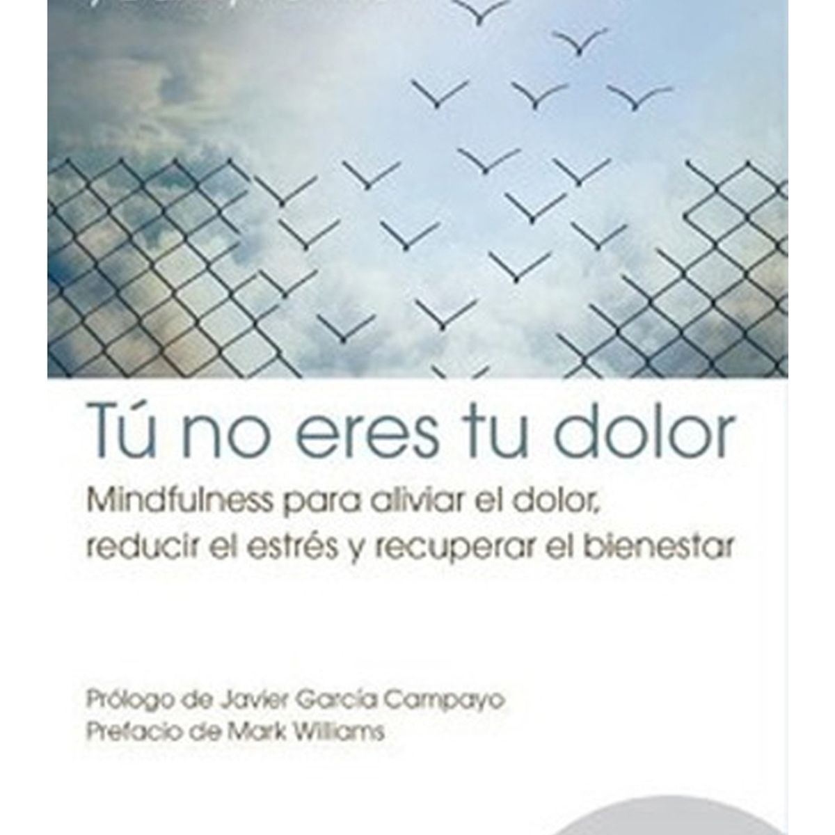 TOP10BOOKS - LIBRO TU NO ERES TU DOLOR: MINDFULNESS PARA ALIVIAR EL DOLOR, REDUCIR EL ESTRES