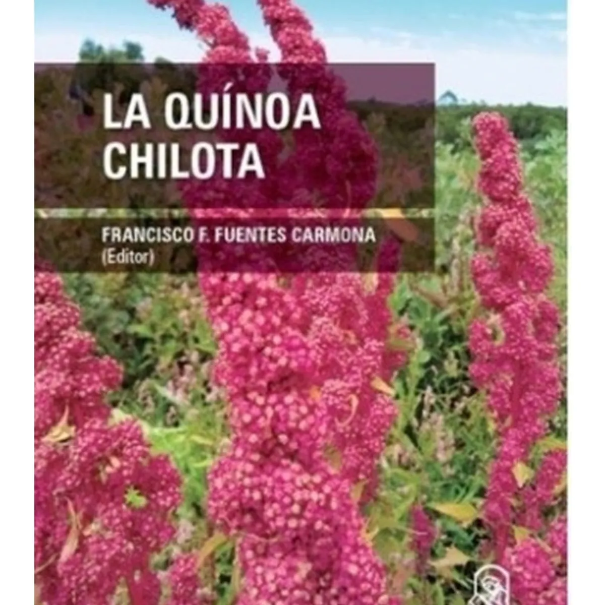 TOP10BOOKS - LIBRO La Quinoa Chilote - La Quinoa Chilote