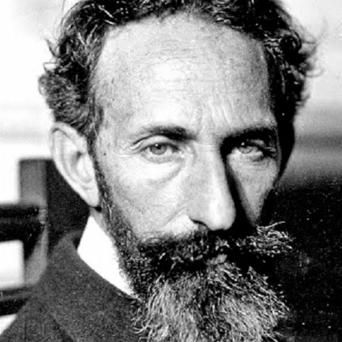 TOP10BOOKS - LIBRO Cuentos De La Selva - Horacio Quiroga