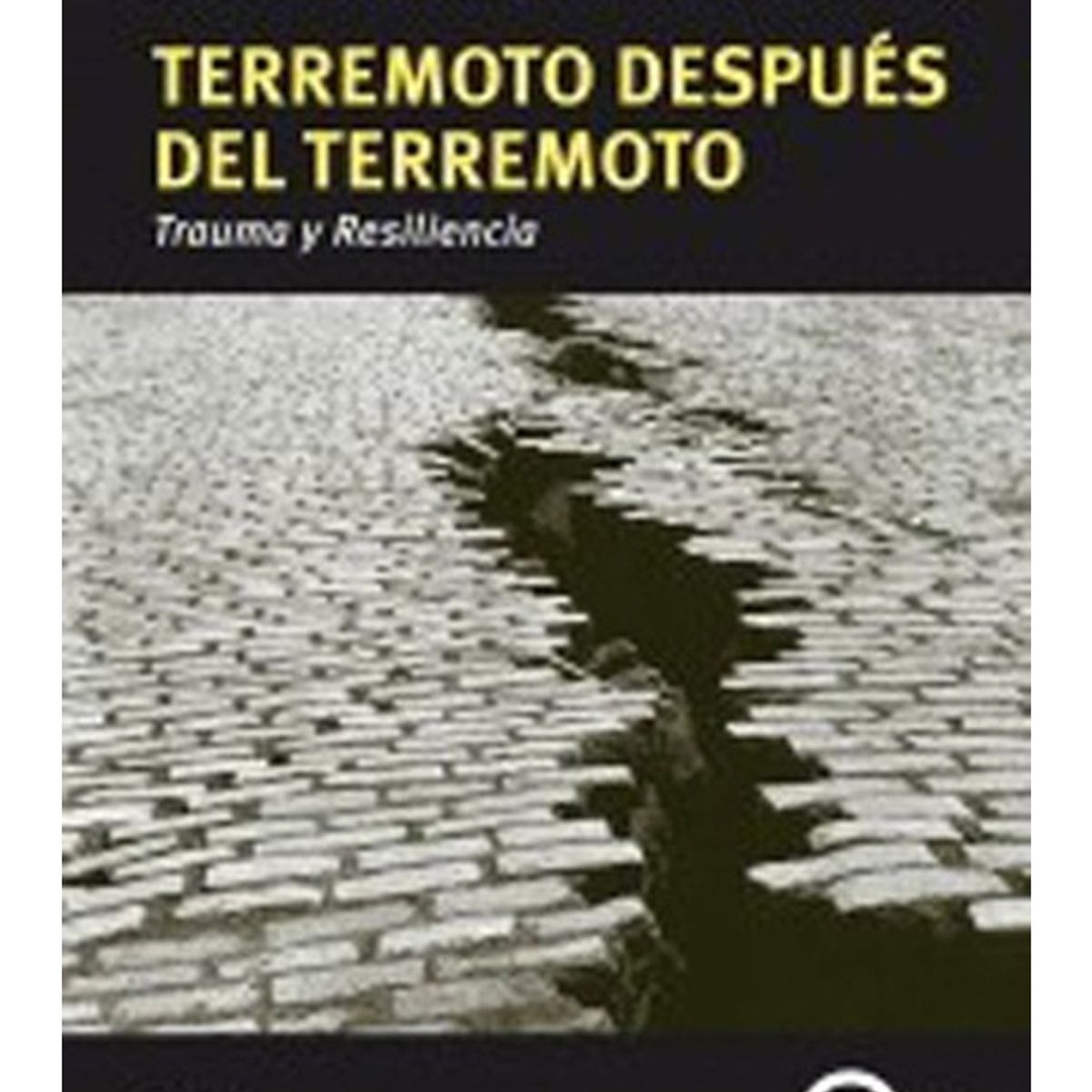 TOP10BOOKS - LIBRO Terremoto Después Del Terremoto: Trauma Y Resiliencia