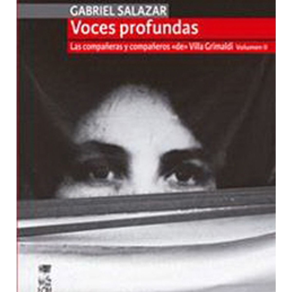 TOP10BOOKS - LIBRO Voces Profundas. Las Compañeras Y Compañeros De Villa Grimaldi Vol. II