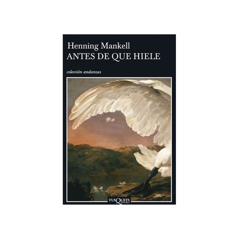 TOP10BOOKS - Libro ANTES DE QUE HIELE