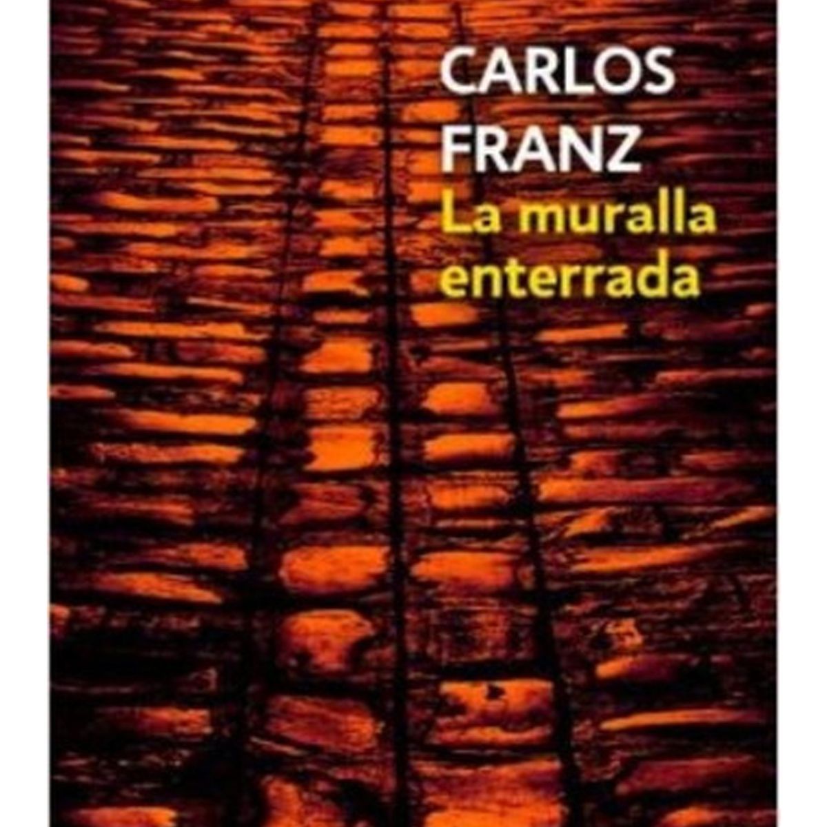 TOP10BOOKS - LIBRO La Muralla Enterrada - La Muralla Enterrada