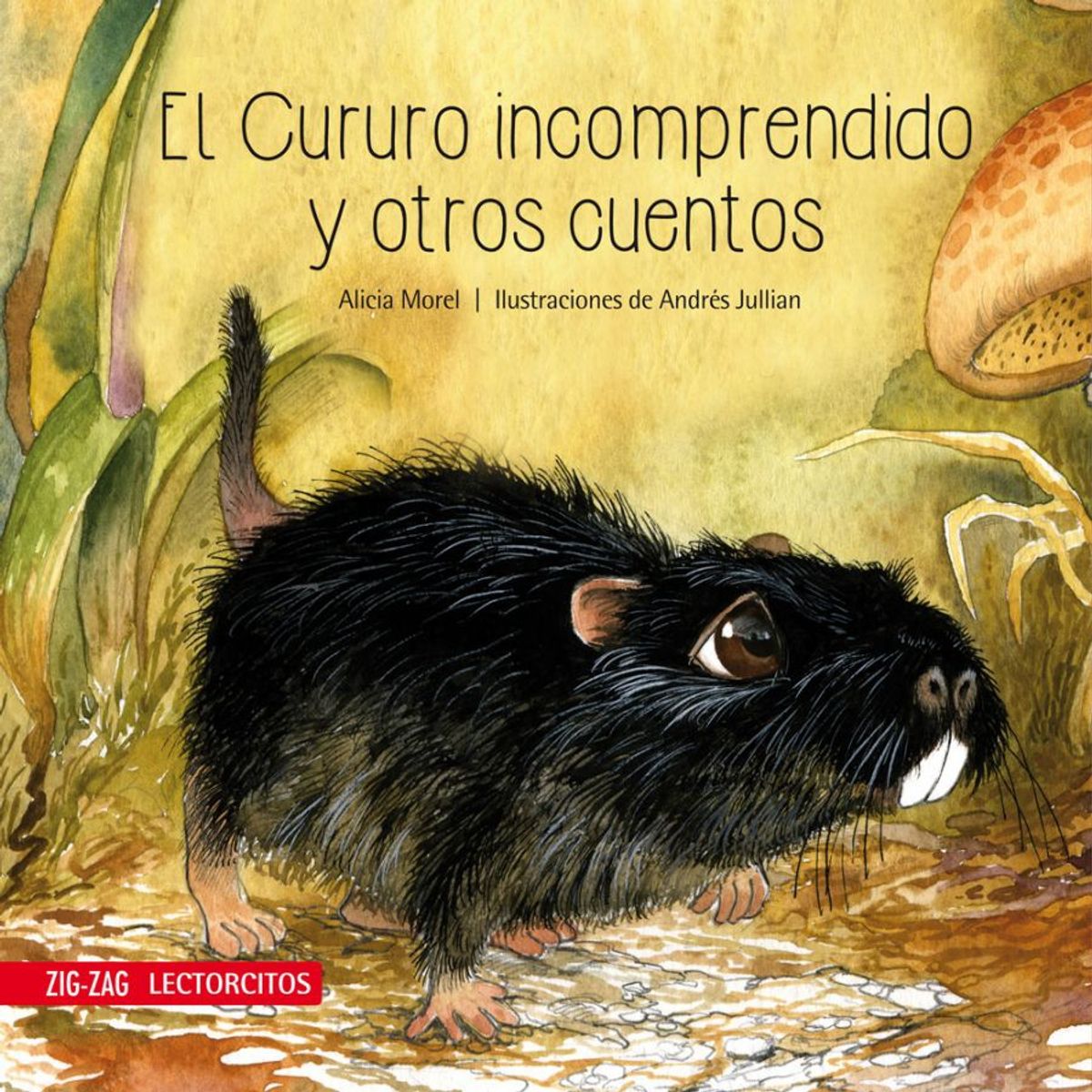 TOP10BOOKS - LIBRO El Cururo Incomprendido Y Otros Cuentos