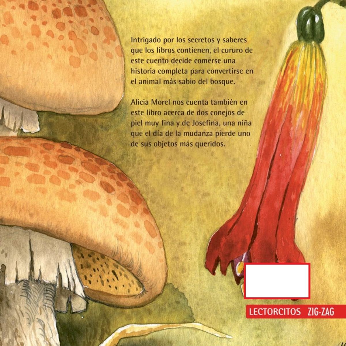 TOP10BOOKS - LIBRO El Cururo Incomprendido Y Otros Cuentos