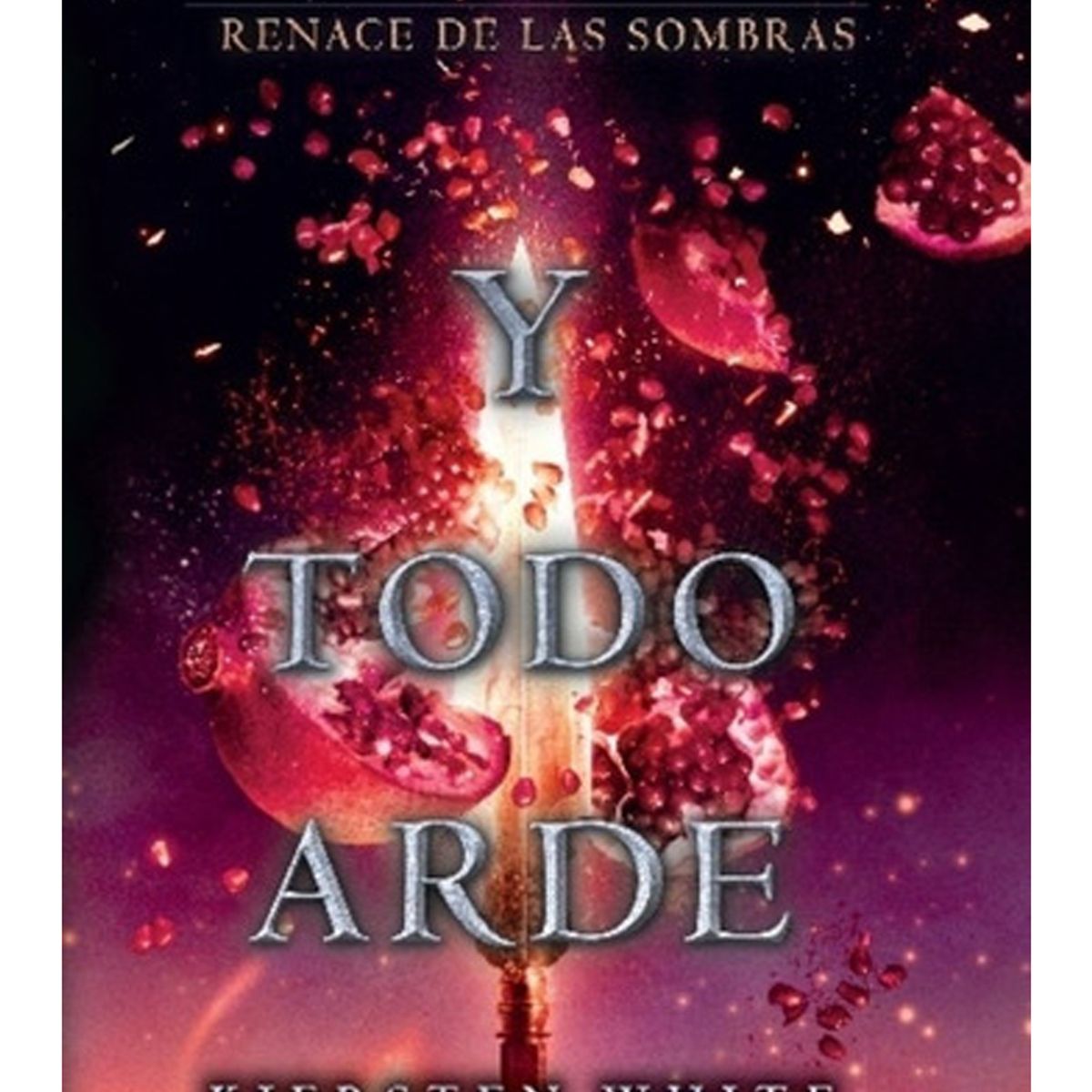 TOP10BOOKS - LIBRO Y Todo Arde - Y Todo Arde