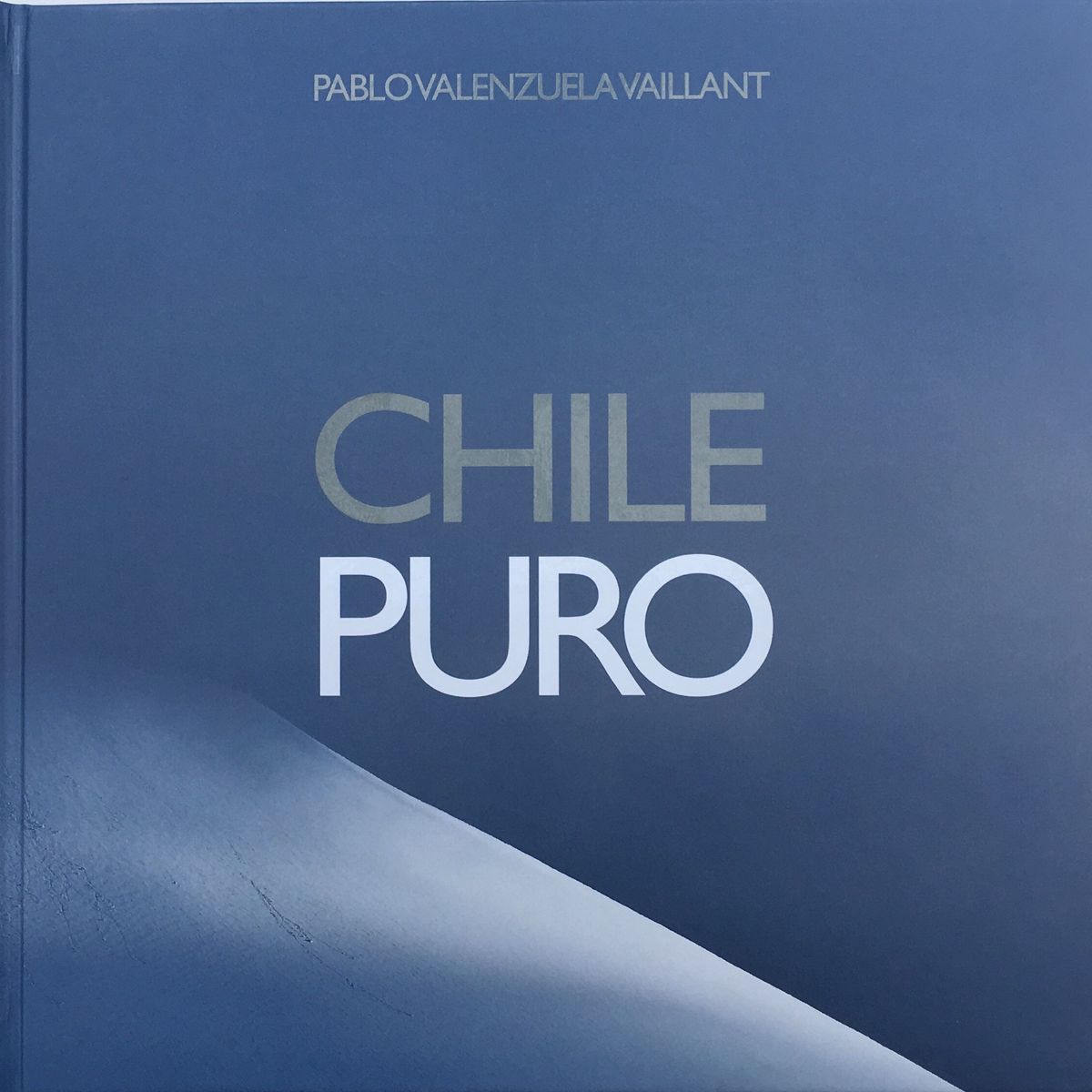TOP10BOOKS - LIBRO Chile Puro - Pablo Valenzuela Vaillant