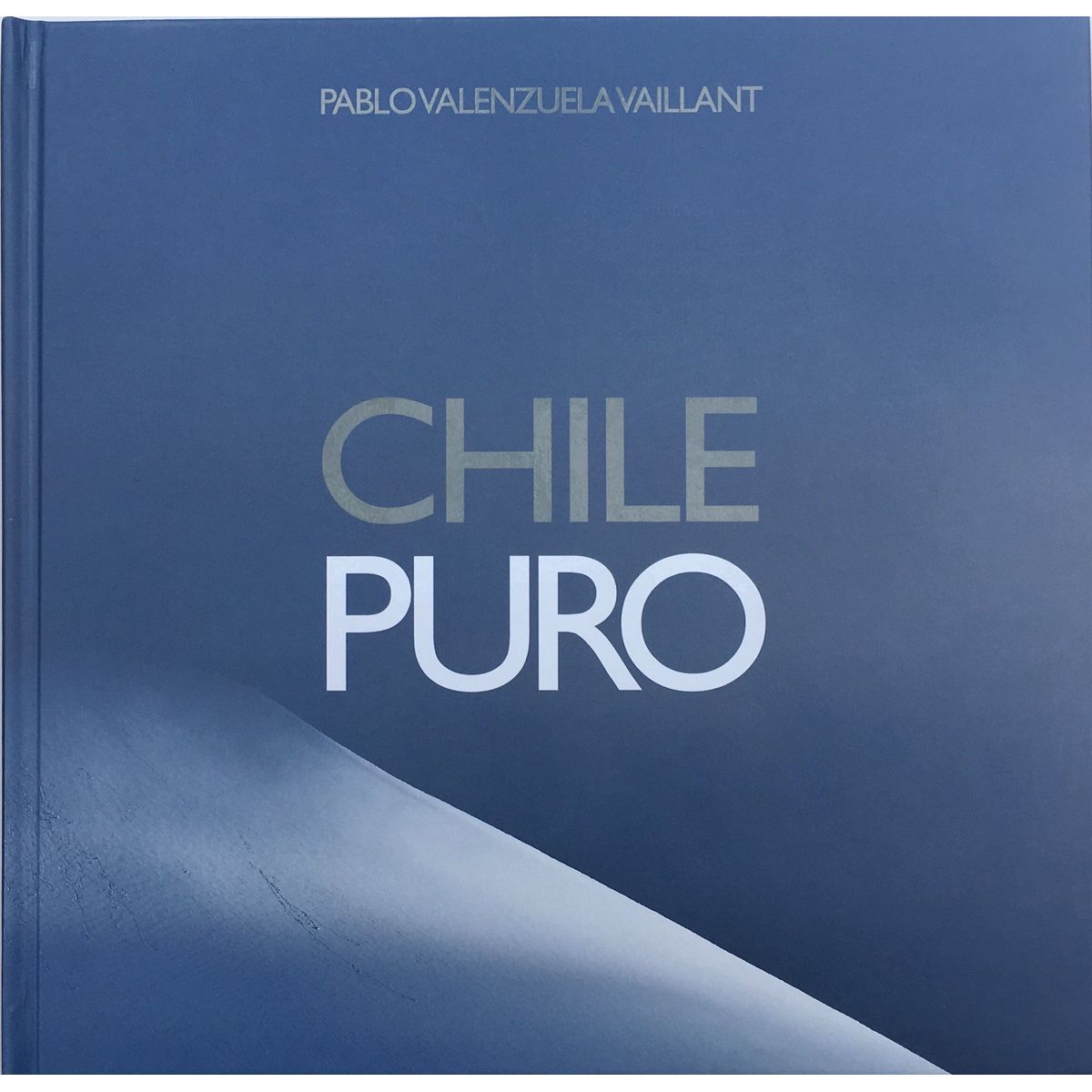 TOP10BOOKS - LIBRO Chile Puro - Pablo Valenzuela Vaillant