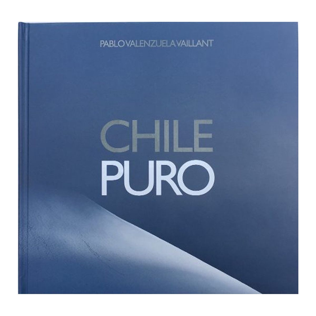 TOP10BOOKS - LIBRO Chile Puro - Pablo Valenzuela Vaillant