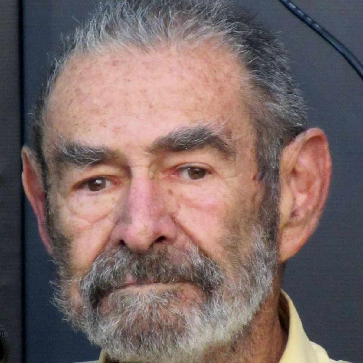 TOP10BOOKS - LIBRO Hacia Donde Volaran Los Pajaros - Hacia Donde Volaran Los Pajaros