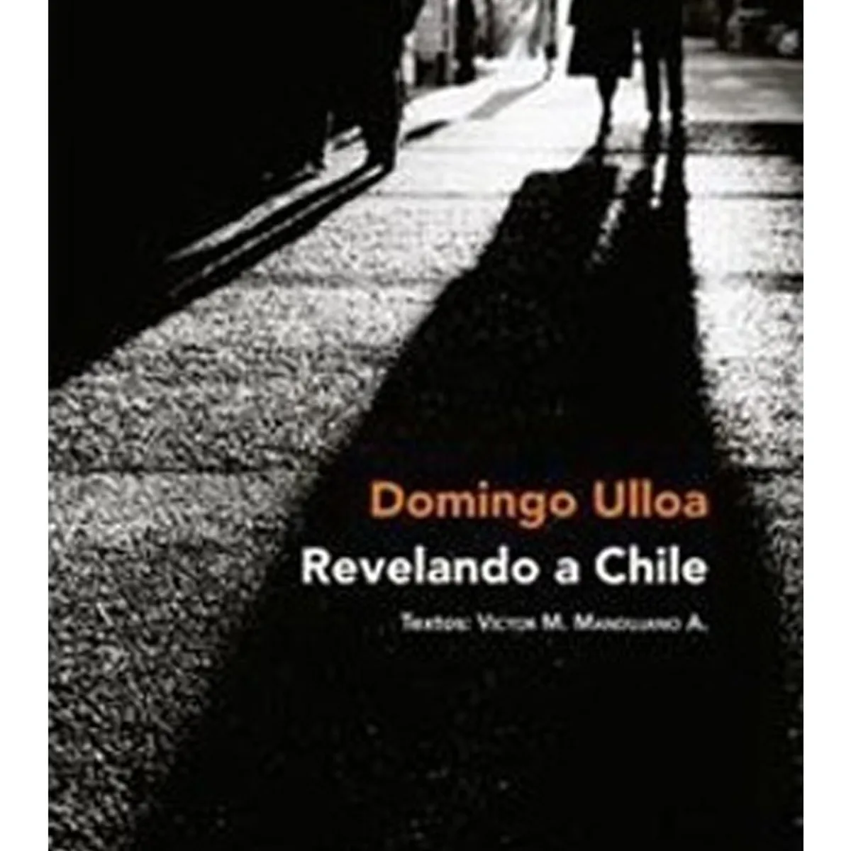 TOP10BOOKS - LIBRO Revelando A Chile - Revelando A Chile