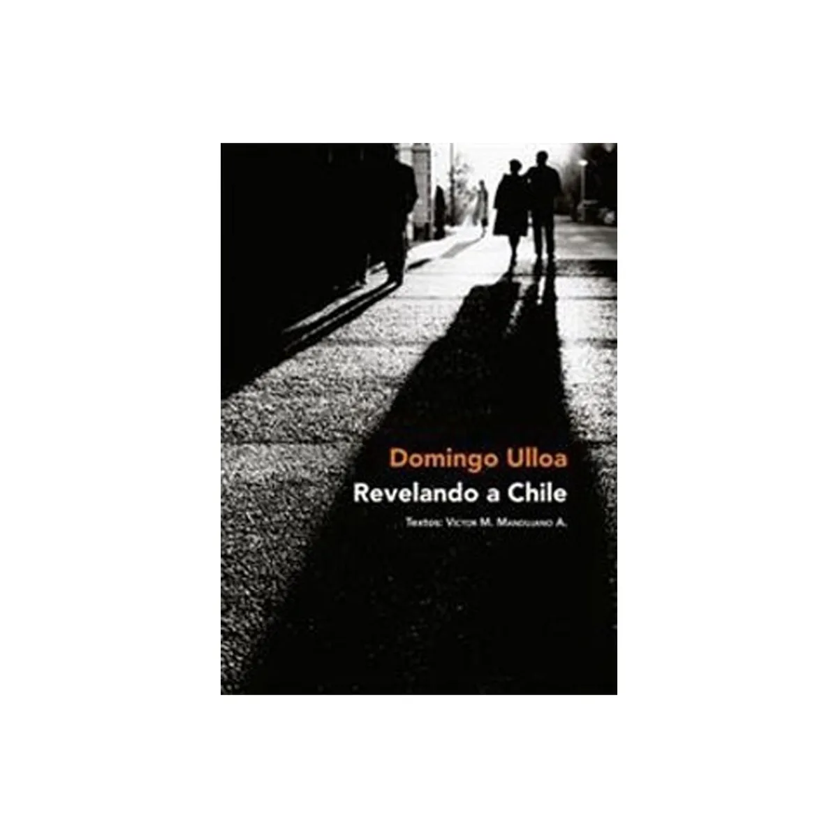 TOP10BOOKS - LIBRO Revelando A Chile - Revelando A Chile
