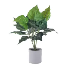 MALLORCA - Planta Decorativa Artificial Alocasia Cucullata