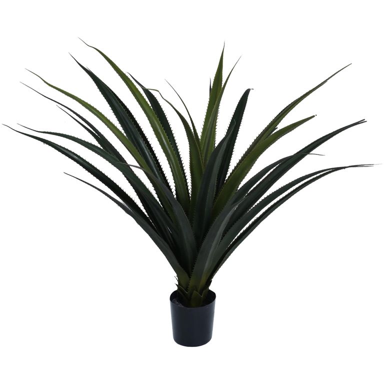 Planta Decorativa Agave Panadus 80 Cms.