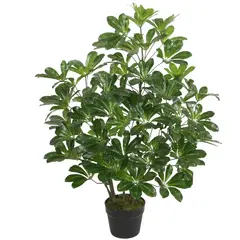 MALLORCA - Planta Decorativa Schefflera Frondosa 90 Cms.
